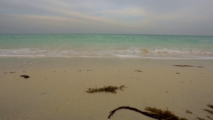 شاطئ رملي مع أمواج هادئة، لقطة واسعة.