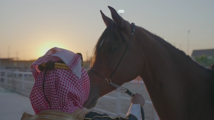 شاب بزي سعودي يتأمل خيل عند الغروب، لقطة جانبية.