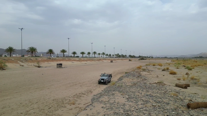 سيارة سفاري في الصحراء مع أطفال، لقطة جوية.