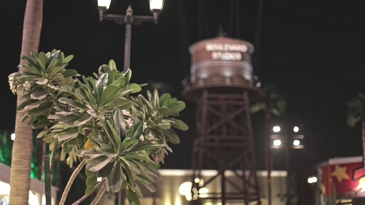 أشجار ونخيل في البوليفارد الرياض ليلاً، لقطة ليلية.