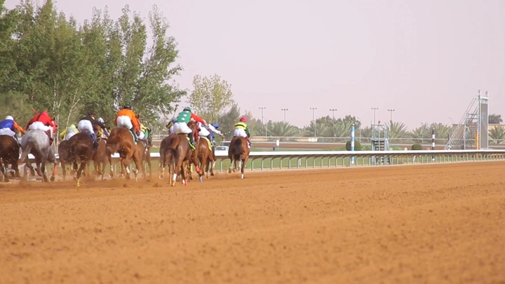 سباق خيل على مضمار ترابي نهاراً، لقطة من الخلف.