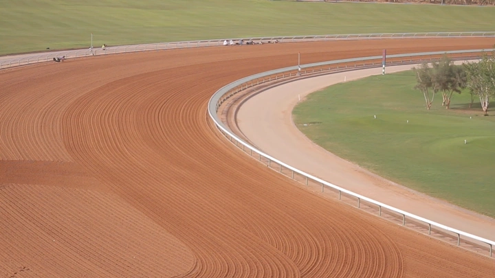 مسار سباق الخيل في يوم مشمس، لقطة جوية.