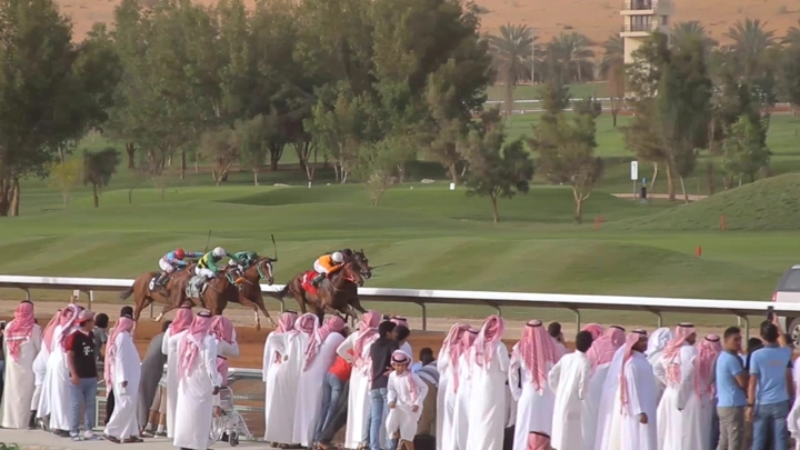 سباق خيل في مضمار أخضر، لقطة من الأرض.