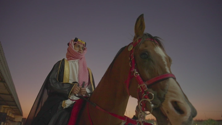 فارس عربي على حصان عند الغروب، لقطة من زاوية منخفضة.