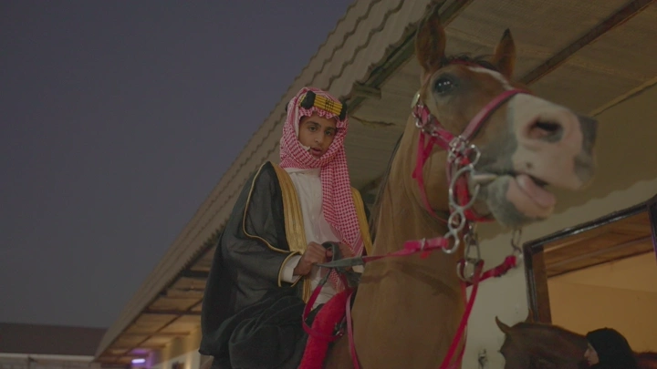 فارس عربي على حصان في المساء، لقطة قريبة.