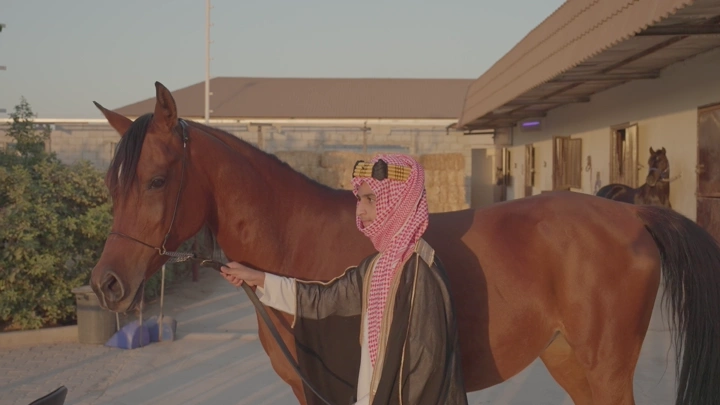 شاب يرتدي الزي السعودي يقف بجانب خيل في مربط، لقطة نهارية.