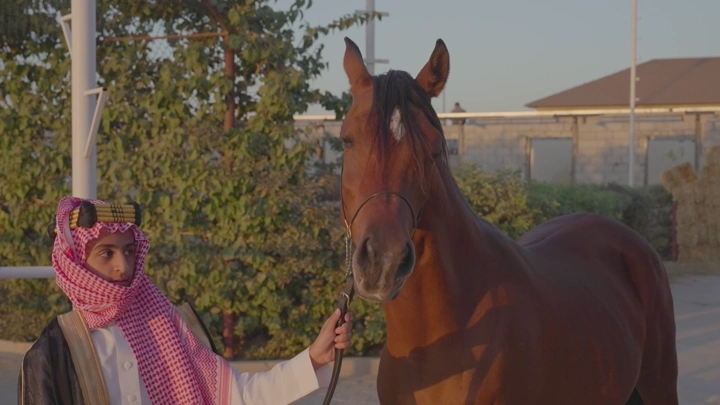 شاب بجانب خيل في مزرعة، لقطة نهارية.