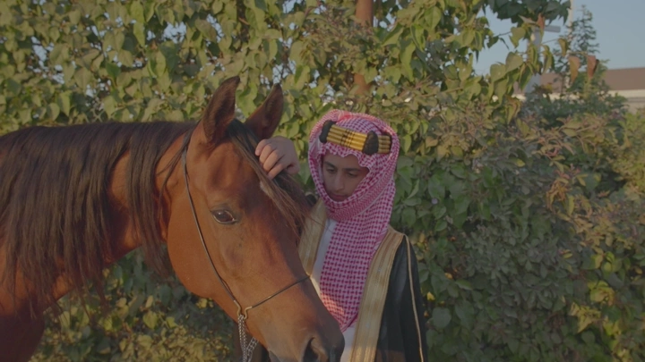 شاب يرتدي الزي السعودي يقف بجانب خيل في الطبيعة، لقطة نهارية.