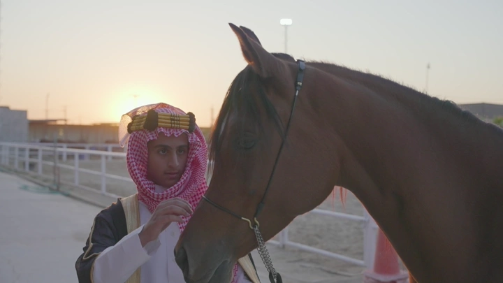 شاب بجانب خيل في مضمار سباق عند الغروب، لقطة قريبة.