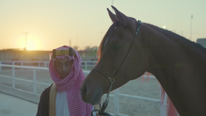 شاب بجانب خيل في مضمار عند الغروب، لقطة قريبة.