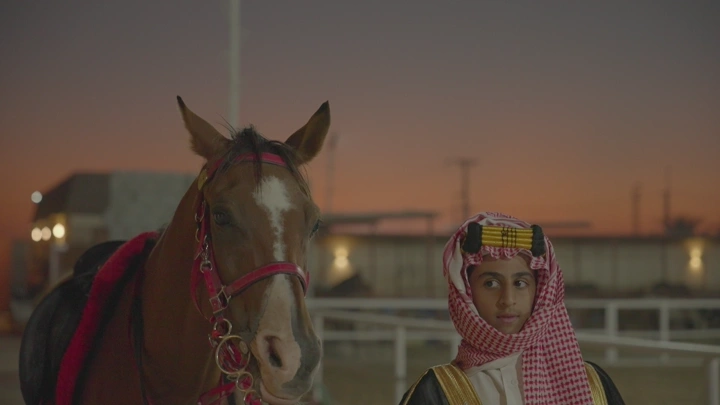 شاب بجانب خيل في مضمار عند الغروب، لقطة مقربة.