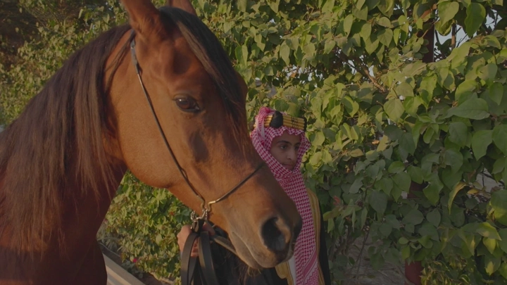 شاب بجانب خيل في حديقة، لقطة طبيعية.