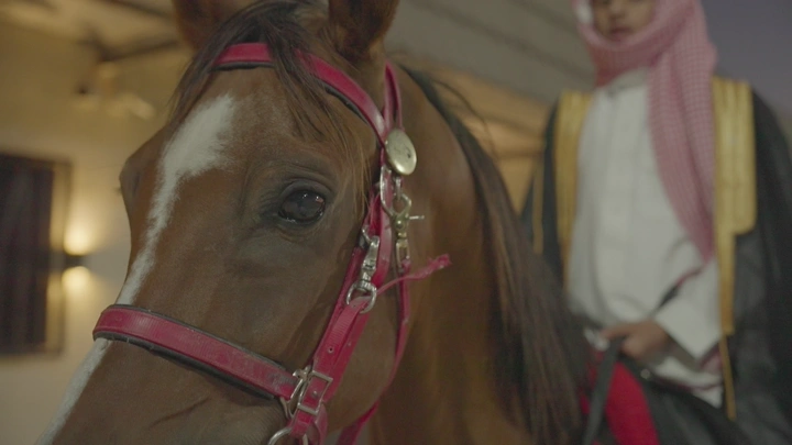 حصان مع فارس يرتدي الزي السعودي في الإسطبل، لقطة مقربة.