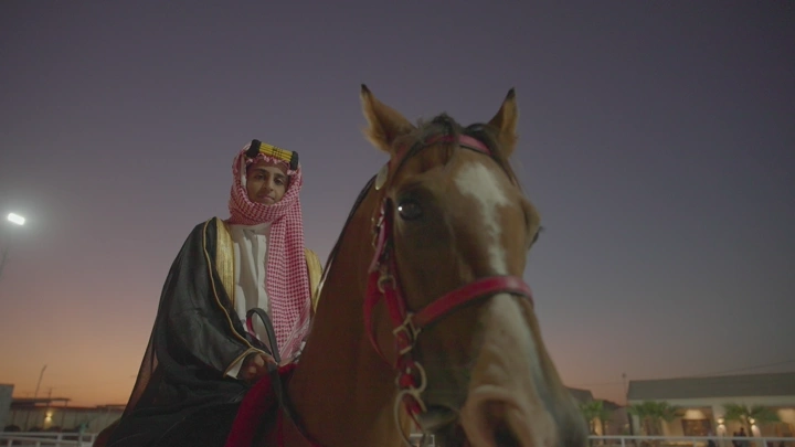 فارس عربي على حصان عند الغروب، لقطة منخفضة.