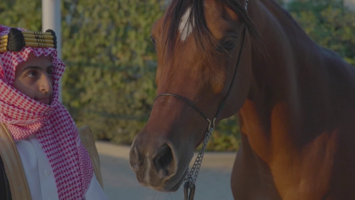 شاب يرتدي الزي السعودي ينظر إلى حصان في ضوء النهار، لقطة مقربة.