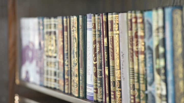 مجموعة كتب مرتبة على رف في مكتبة، لقطة مقربة.