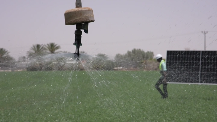 نظام ري في مزرعة مع ألواح طاقة شمسية، لقطة نهارية.