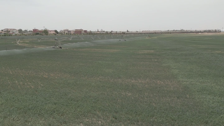 مزرعة واسعة مع رشاش مياه في الأفق، صورة جوية.