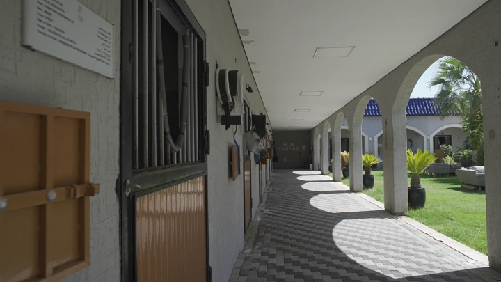 ممر في مربط خيل نهارًا، لقطة واسعة.