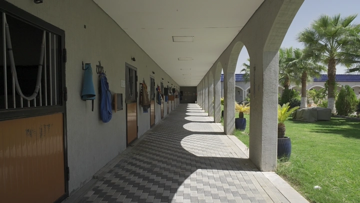 ممر طويل في مربط خيل مع إضاءة نهارية، لقطة واسعة.