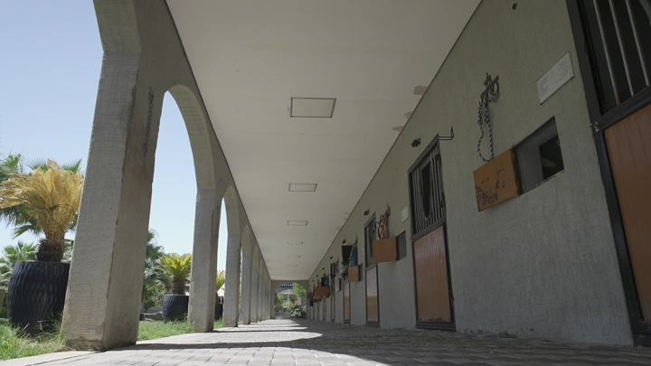 مربط خيل في الهواء الطلق نهارًا، لقطة منخفضة الزاوية.