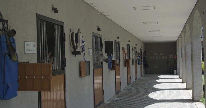 إسطبل خيول حديث في النهار، لقطة بزاوية واسعة.