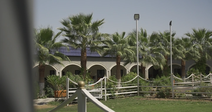 مربط خيل محاط بأشجار النخيل في يوم مشمس، لقطة أرضية.