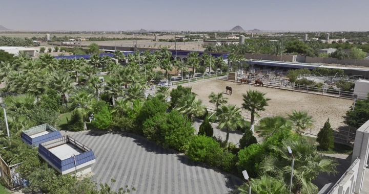 مزرعة خيول واسعة مع أشجار نخيل، لقطة جوية.