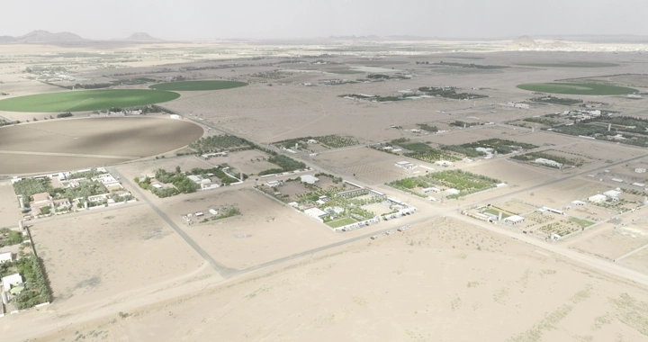 مزارع في الصحراء من الجو، لقطة جوية.