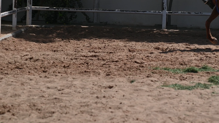 حوافر خيل على أرض ترابية في مضمار، لقطة قريبة.