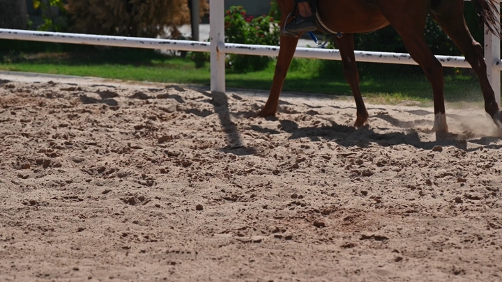 حوافر حصان في مضمار رملي، لقطة قريبة.
