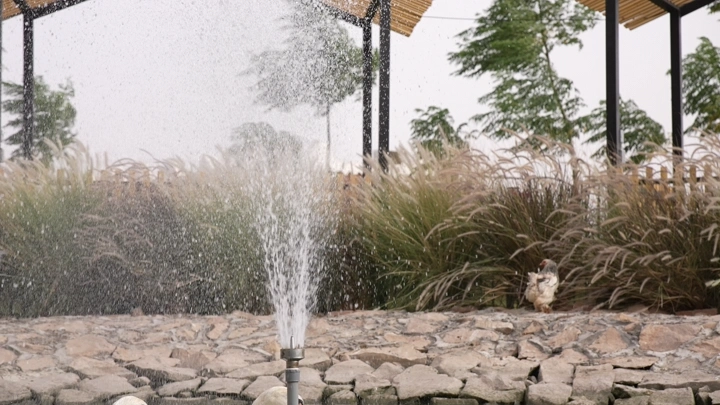 نافورة في حديقة مع نباتات خضراء، لقطة نهارية.