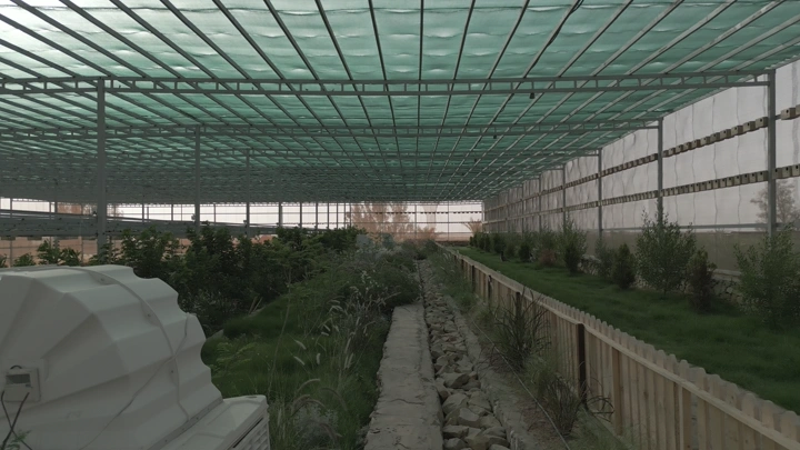 مشتل داخلي مغطى في النهار، لقطة واسعة.