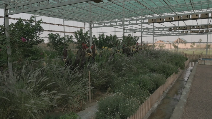 مشتل داخلي مليء بالنباتات الخضراء، لقطة بزاوية واسعة.