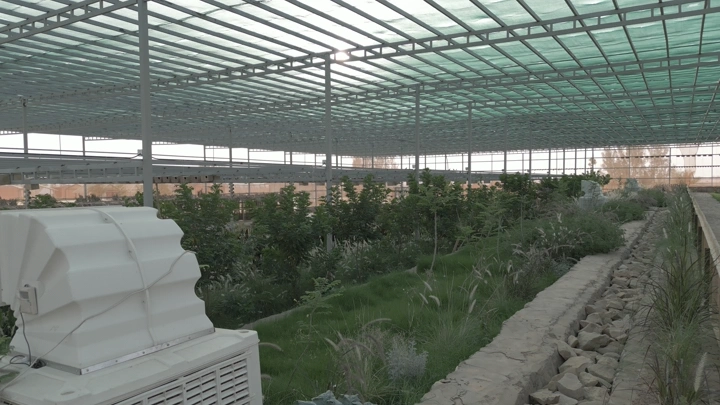 مشتل داخلي واسع تحت سقف زجاجي، لقطة من زاوية منخفضة.