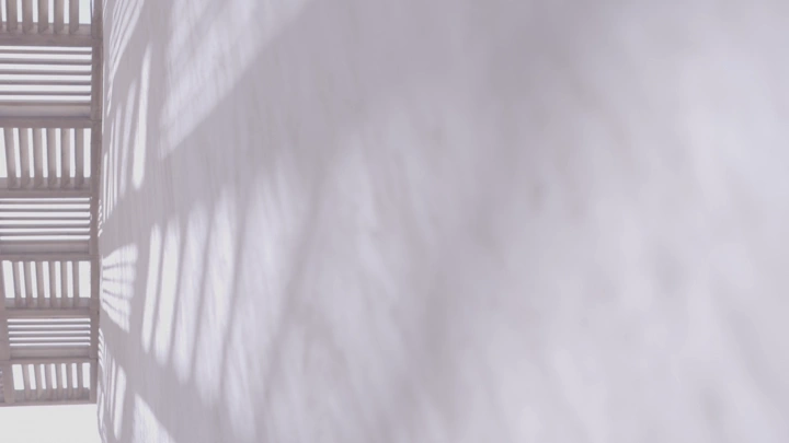 ظلال على جدار في ضوء النهار، لقطة قريبة.