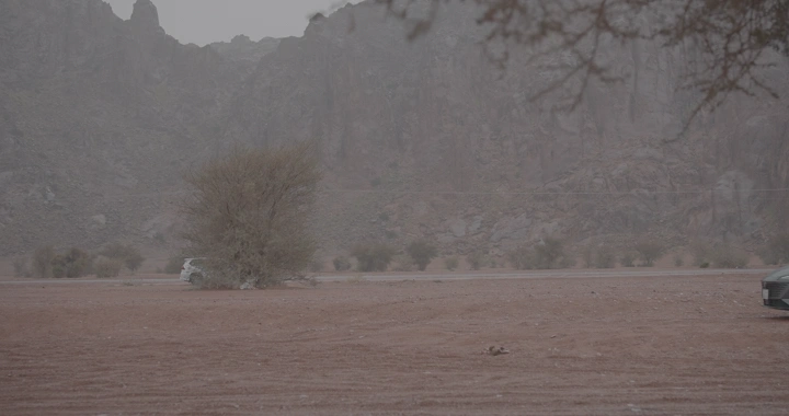 منظر طبيعي في سد السلف حائل مع شجرة وسيارة، لقطة أرضية.