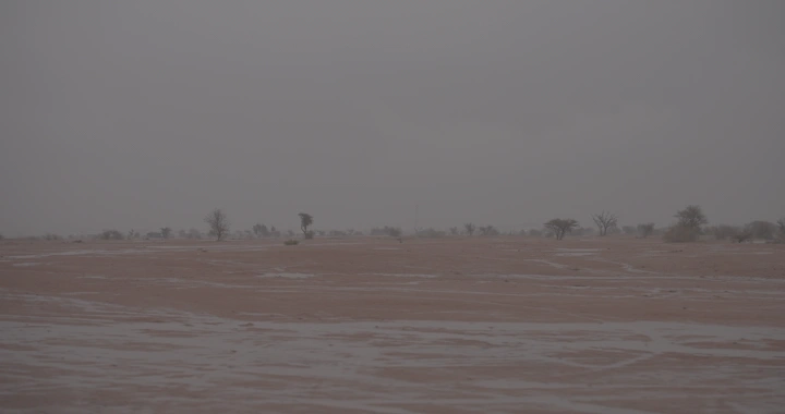 صحراء ممطرة في حائل، لقطة واسعة.