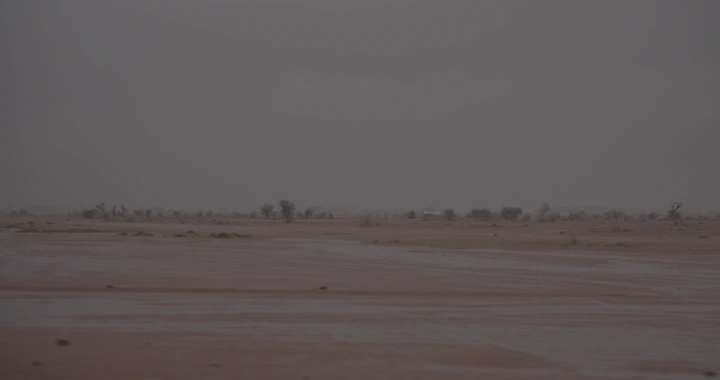 صحراء ممطرة في حائل، لقطة واسعة.