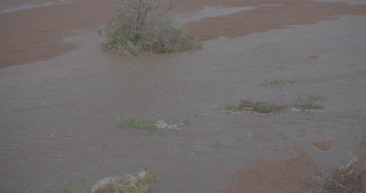 مجرى مائي صغير في حائل بعد الأمطار، لقطة أرضية.