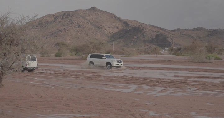 سيارات تسير في صحراء حائل بعد الأمطار، منظر طبيعي.