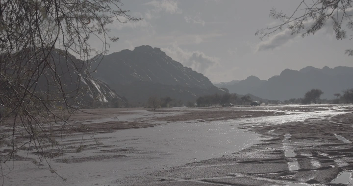 منظر طبيعي في حائل بعد الأمطار، لقطة من مستوى الأرض.