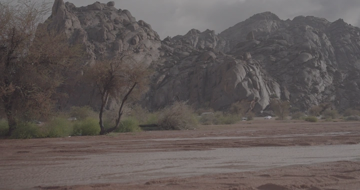 جبال وأشجار بعد المطر في حائل، لقطة طبيعية.