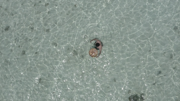 شخص يسبح في مياه صافية في أملج، لقطة جوية.