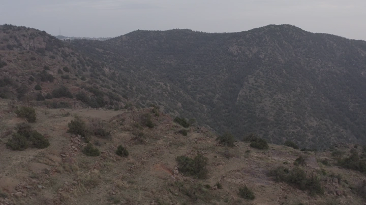 جبال مغطاة بالأشجار في الباحة، لقطة جوية.