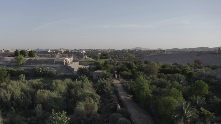 مزرعة خضراء عند الغروب، لقطة جوية.