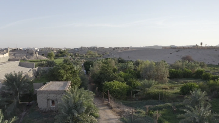 مزرعة خضراء في النهار، لقطة جوية.