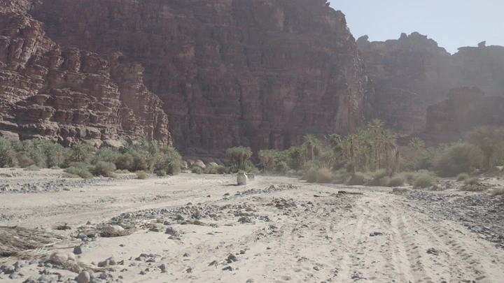 وادي الديسة في النهار، لقطة واسعة تظهر الجبال والنباتات والسيارات.