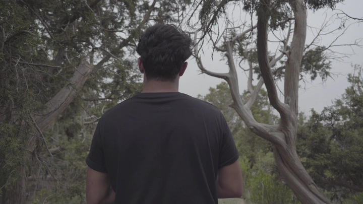 رجل يقف في غابة في عسير، صورة من الخلف، لقطة طبيعية.