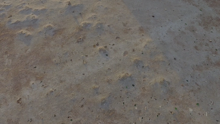 طائرة مهجورة على شاطئ رأس الشيخ حيد في تبوك، لقطة منخفضة.